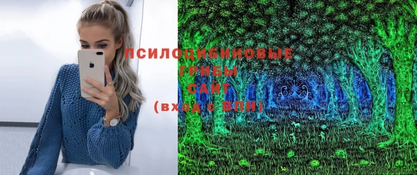 MDMA Premium VHQ Белокуриха