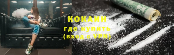 индика Беломорск