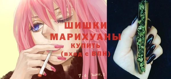 индика Беломорск