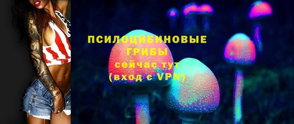 индика Беломорск