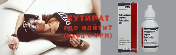индика Беломорск