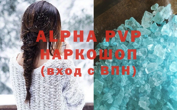 индика Беломорск