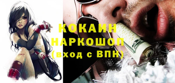 индика Беломорск