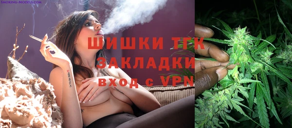 индика Беломорск