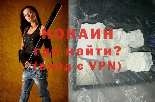 индика Беломорск