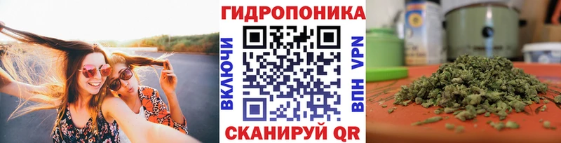 Купить где  Фатеж  Канабис ГИДРОПОН 